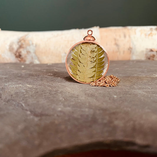 Tiny Forest Terrarium Collection #15