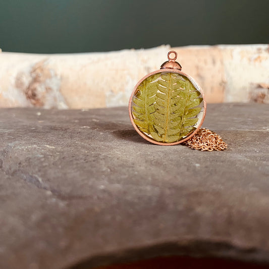 Tiny Forest Terrarium Collection #16