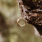Tears of my Enemies